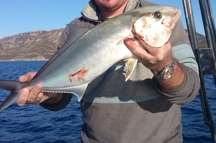 Bigbear Fishing Guide Service