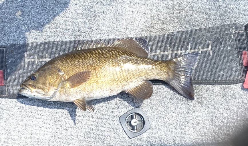 Bigbear Fishing Guide Service